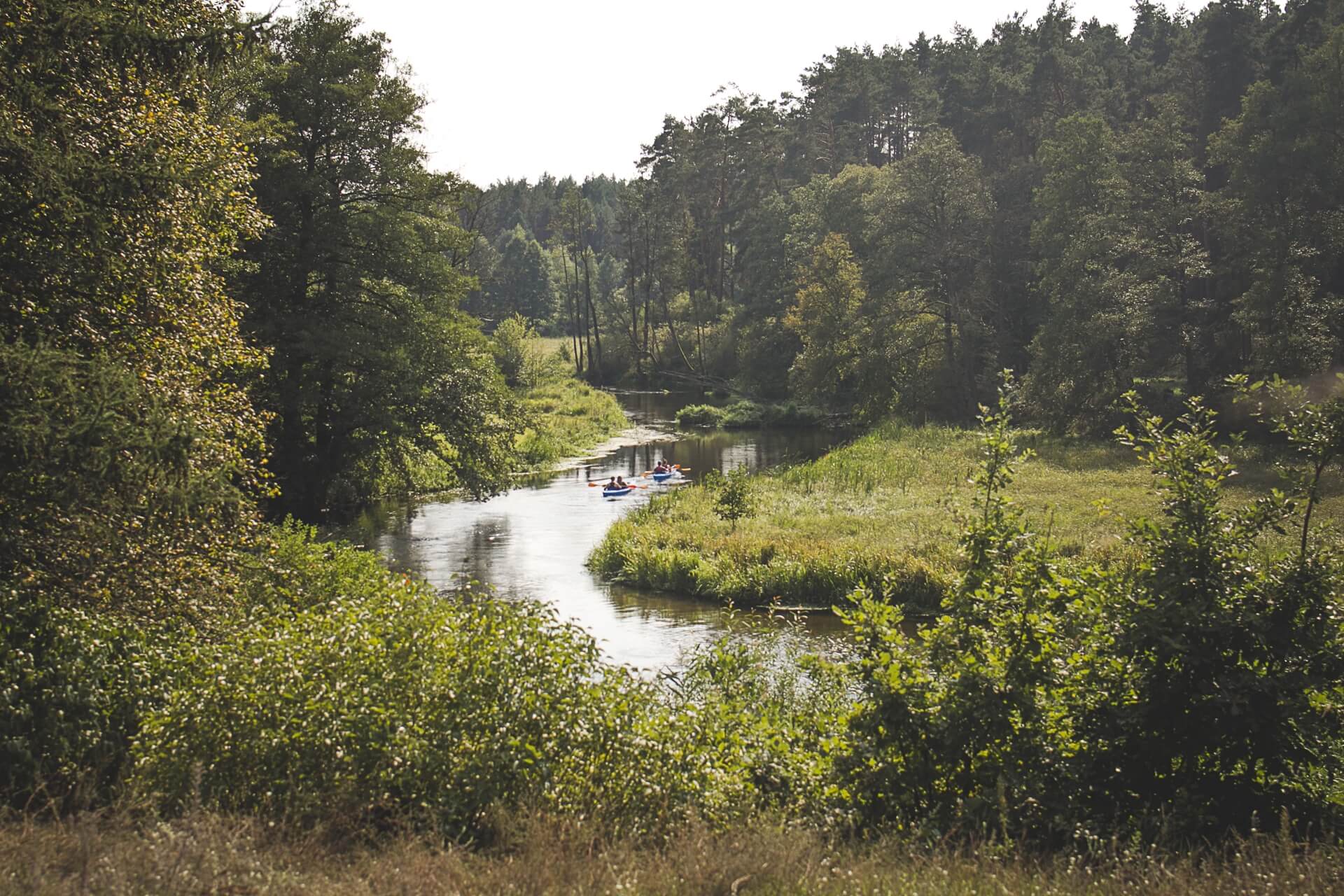 Bory Tucholskie