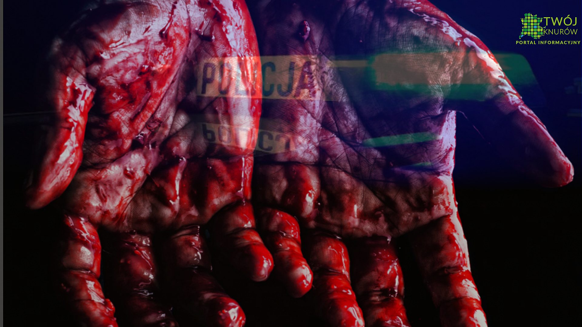 02 DC1138 1183 4 D85 95 B6 F8 D5290 C9 AEE 02 DC1138 1183 4 D85 95 B6 F8 D5290 C9 AEE