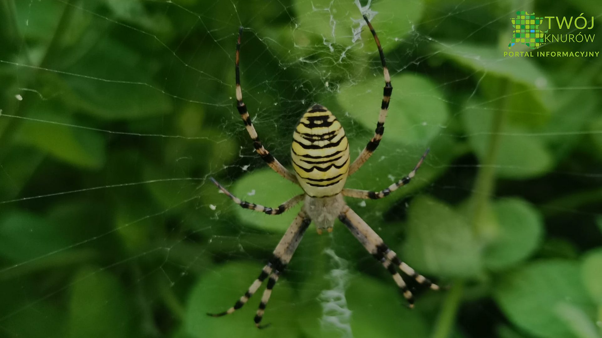 FC669954 2621 46 C6 BE65 187 A1 A3 C40 D6 FC669954 2621 46 C6 BE65 187 A1 A3 C40 D6