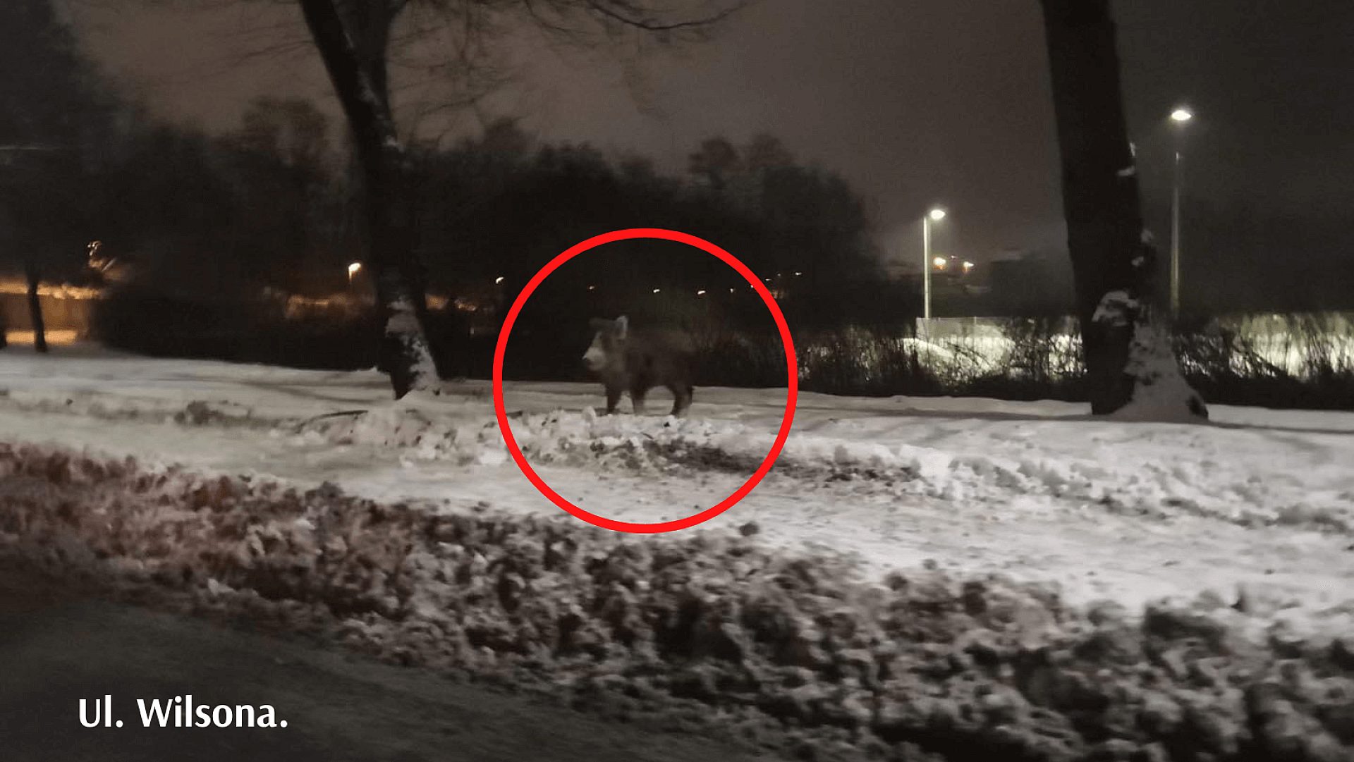 68 CD6 C63 19 F7 4 F38 91 D5 02539363 BA8 E 68 CD6 C63 19 F7 4 F38 91 D5 02539363 BA8 E