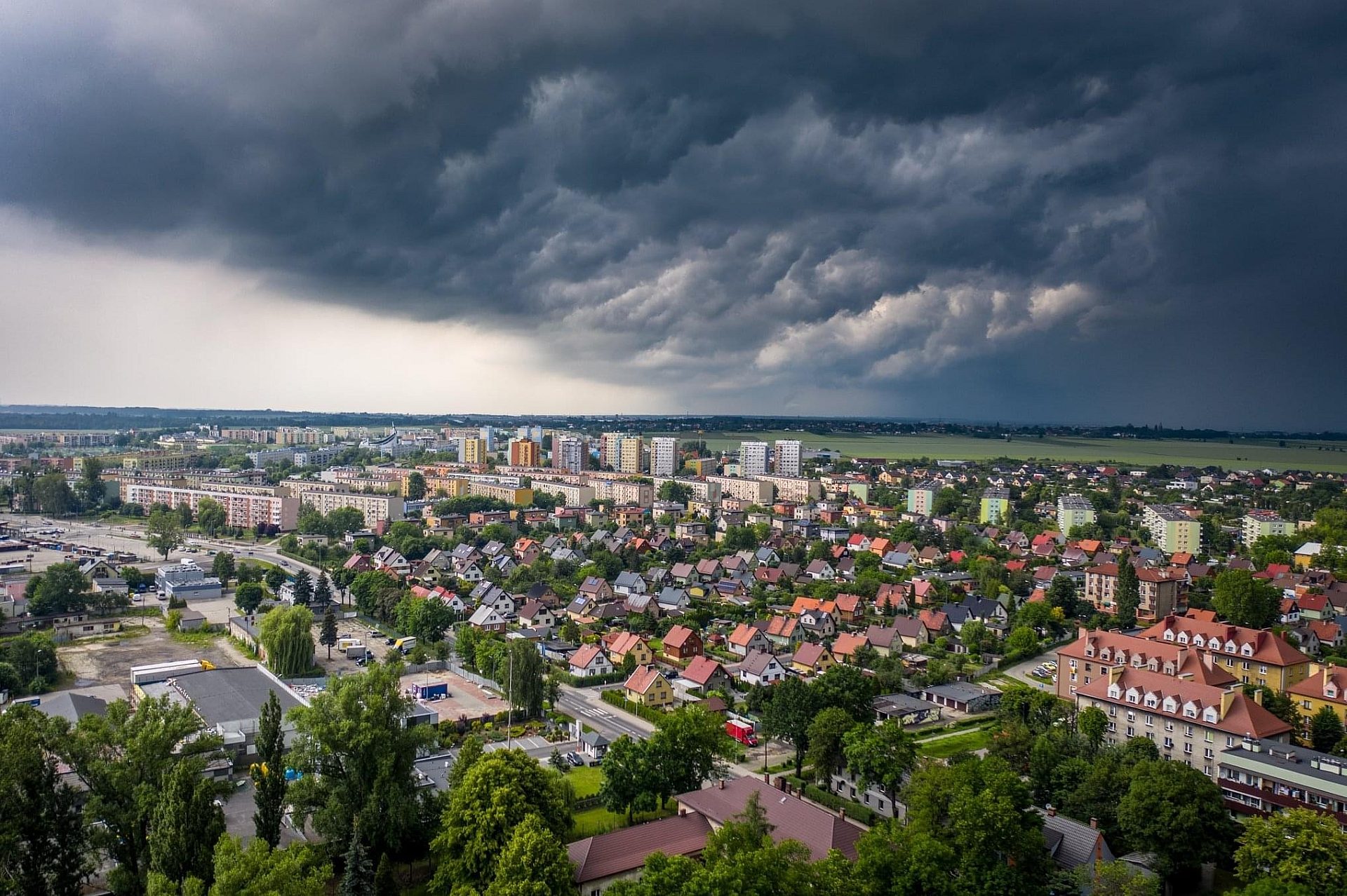 Podwyżki knurów Podwyżki knurów