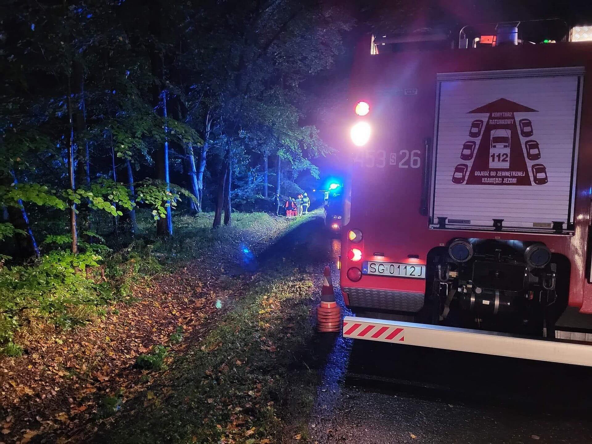 9 C966777 B054 497 E A03 E 550 BED83 F2 E5 9 C966777 B054 497 E A03 E 550 BED83 F2 E5