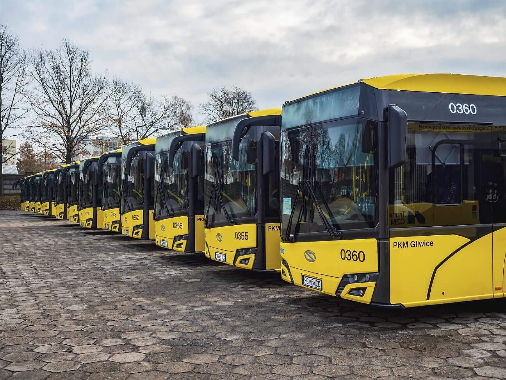 G.Ożga/UM Gliwice G.Ożga/UM Gliwice