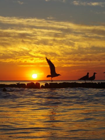 Zachód Słońca Międzyzdroje Zachód Słońca Międzyzdroje