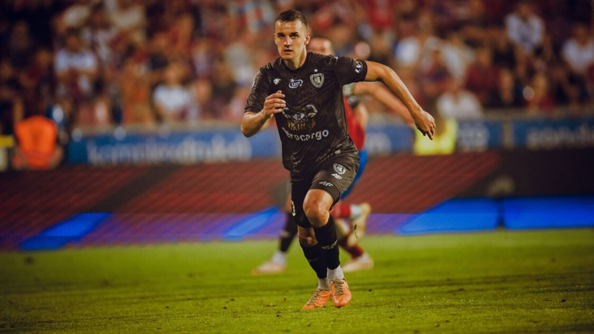 Piast dziczek prof Piast dziczek prof