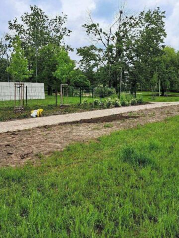 Nowe łąki kwietne w Knurowie Nowe łąki kwietne w Knurowie