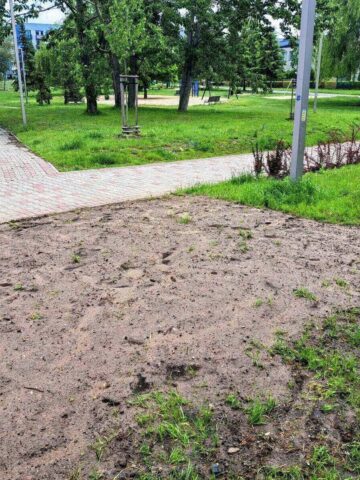 Nowe łąki kwietne w Knurowie Nowe łąki kwietne w Knurowie