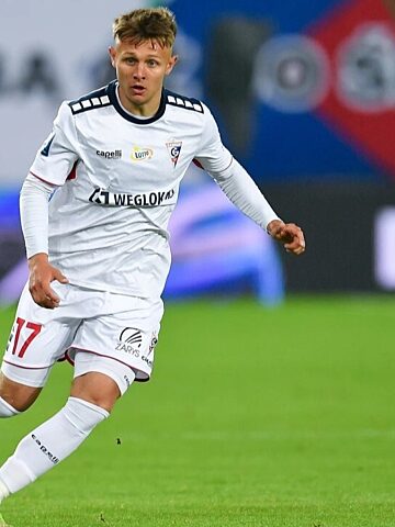 Michal lukoszek gornik prof Michal lukoszek gornik prof