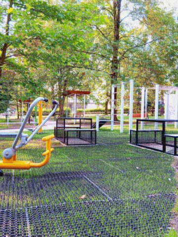 Park Lignozy w Szczygłowicach Park Lignozy w Szczygłowicach
