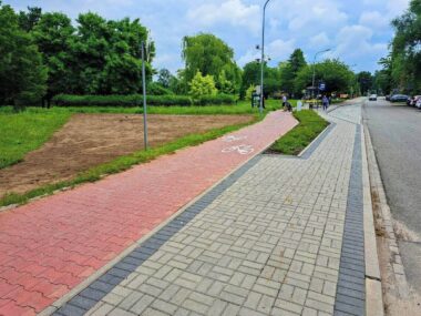 Nowe łąki kwietne w Knurowie Nowe łąki kwietne w Knurowie