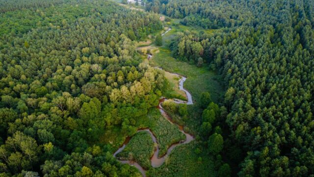 Meandry Kłodnicy T Staniek 9 Meandry Kłodnicy T Staniek 9