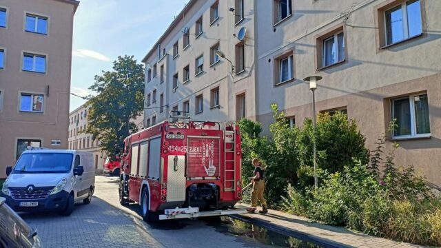 Pyskowice pozar 1 Pyskowice pozar 1