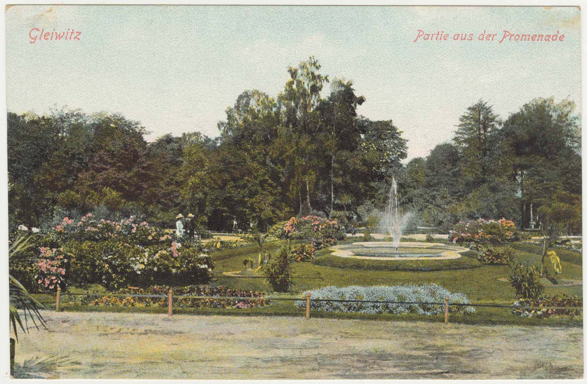 Park chopina Muzeum Slaskie